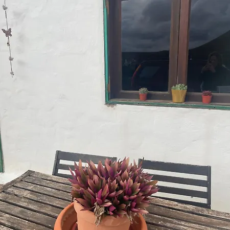 Casa, Avenida Vegas *